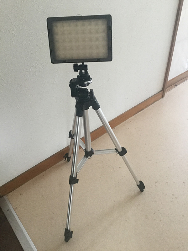 ビデオライトと三脚の簡易照明