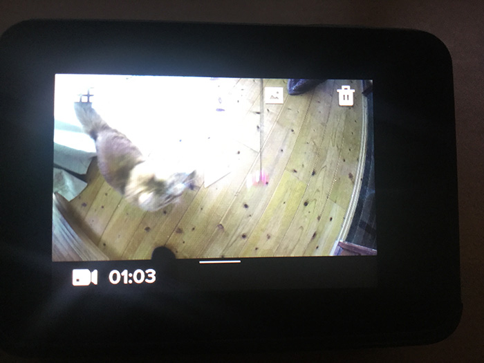 動画を再生する方法 GoPro HERO5 アクション・ウェアラブルカメラ