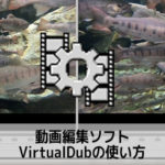 VirtualDubの使い方(1) 機能の紹介 動画編集フリーソフト バーチャルダブ入門