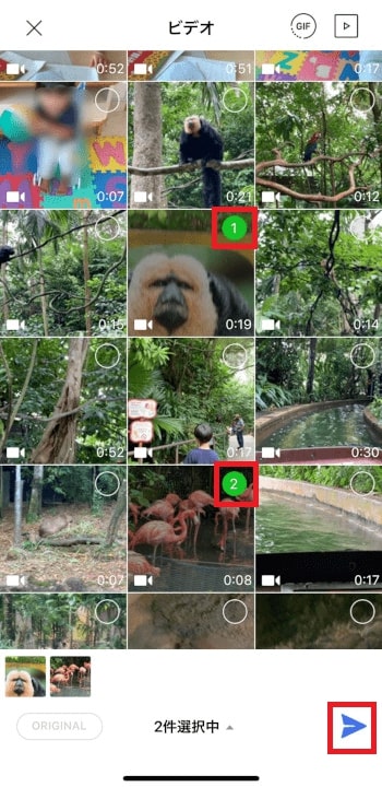 動画を共有送信する方法 LINEアプリから動画を共有する方法