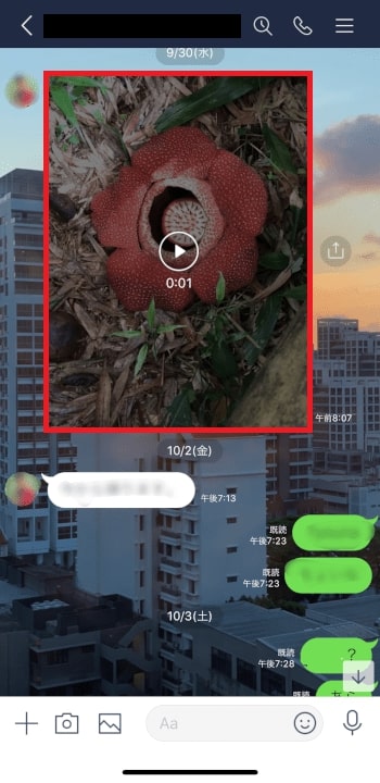 動画を保存する方法 LINEアプリから動画を共有する方法
